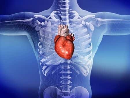 Infective endocarditis complications result in patient’s death