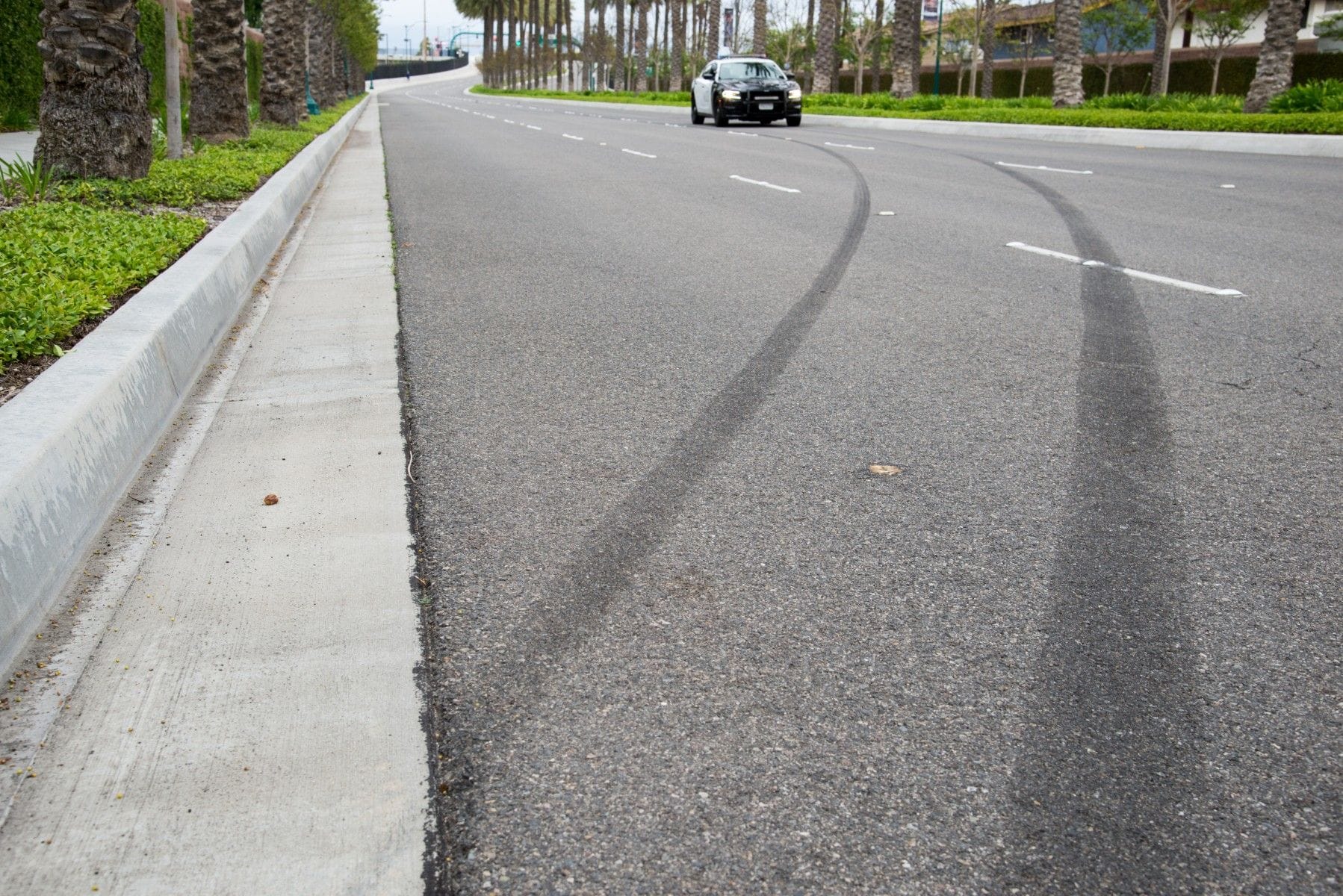 skid marks car accident