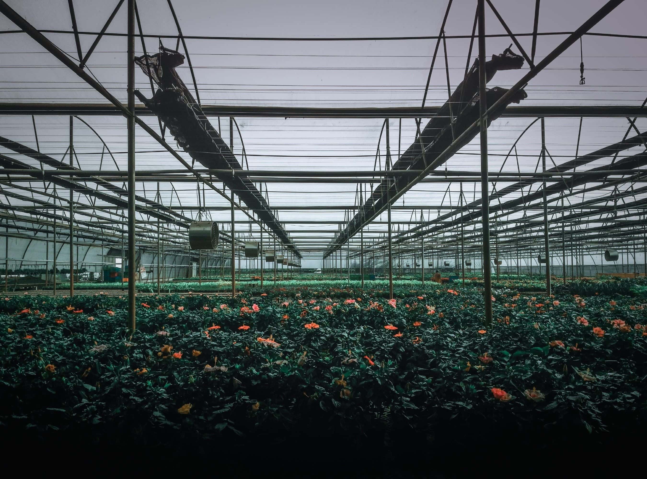 Insurance Expert Permitted to Opine on Industry Best Practices