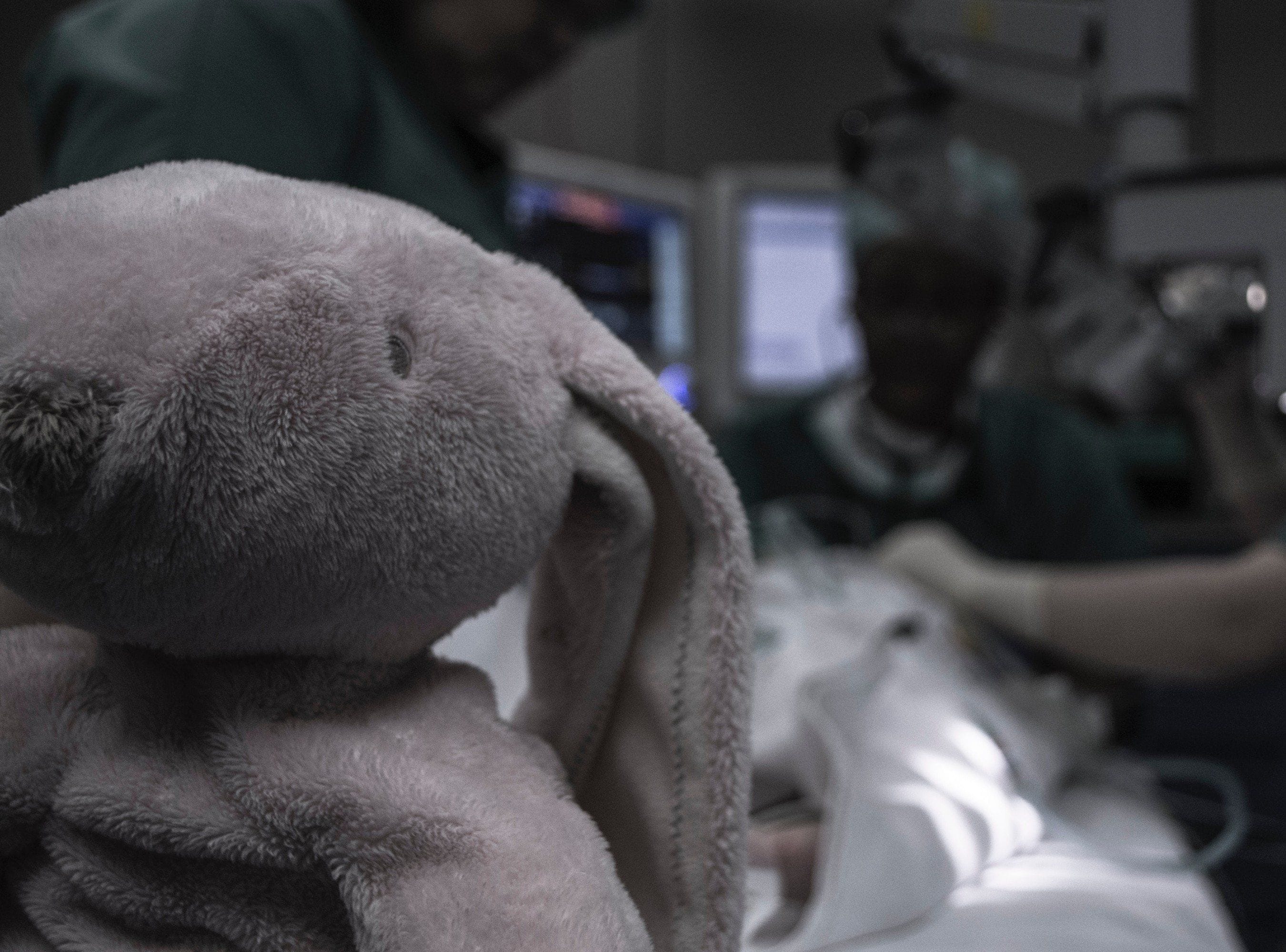 Medical malpractice expert witness