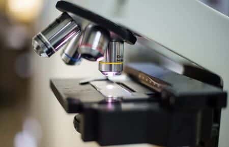 Electron Microscopy Expert Discusses Technique for Identifying Talc in Ovarian Tissue