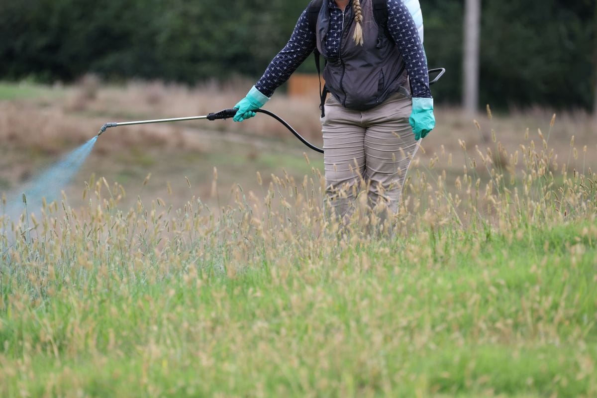 Roundup Spray
