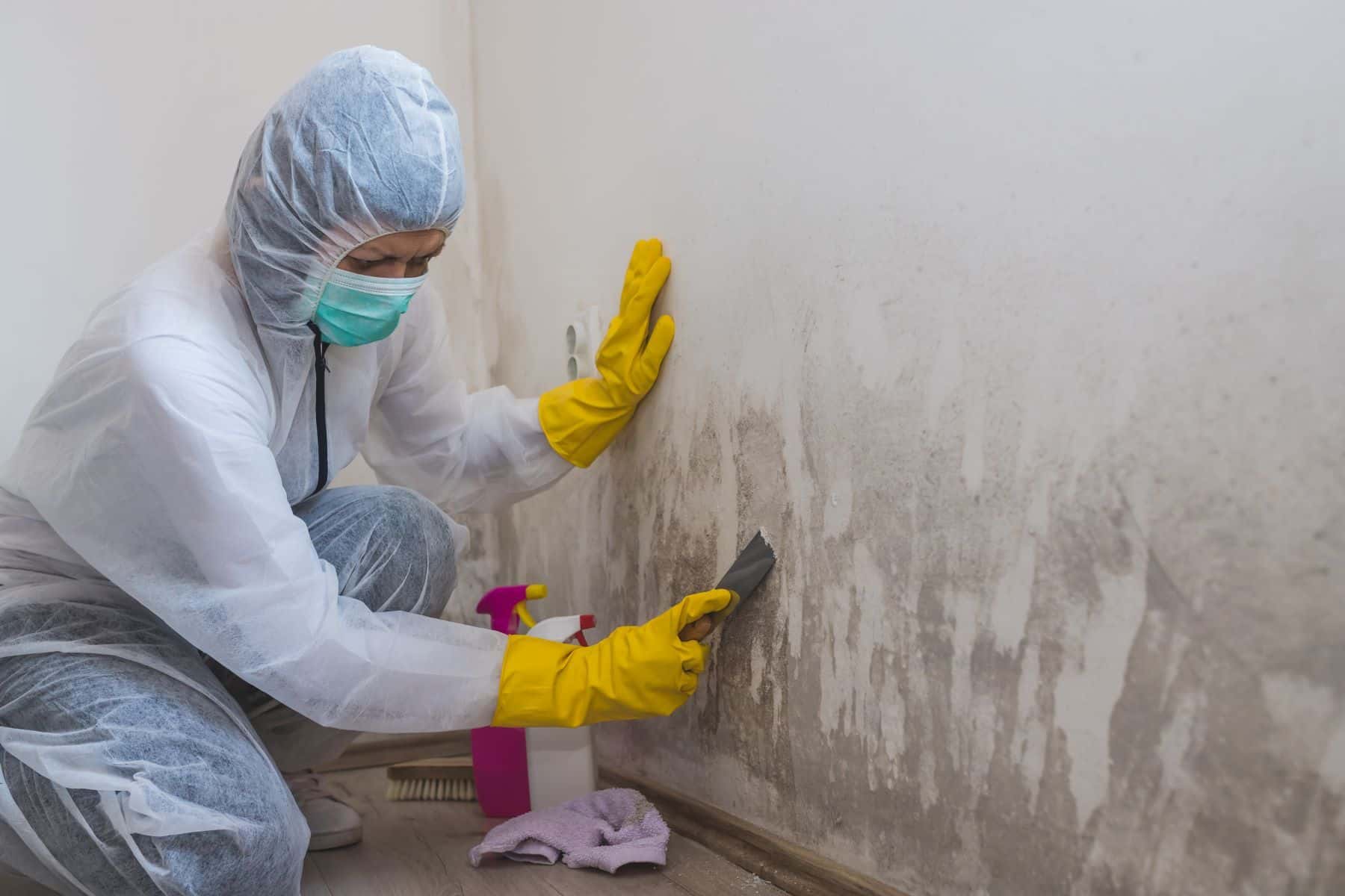 Person cleaning mold with chemicals