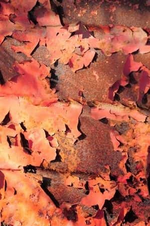 Homeowner’s Son Gets Lead Poisoning From House Paint