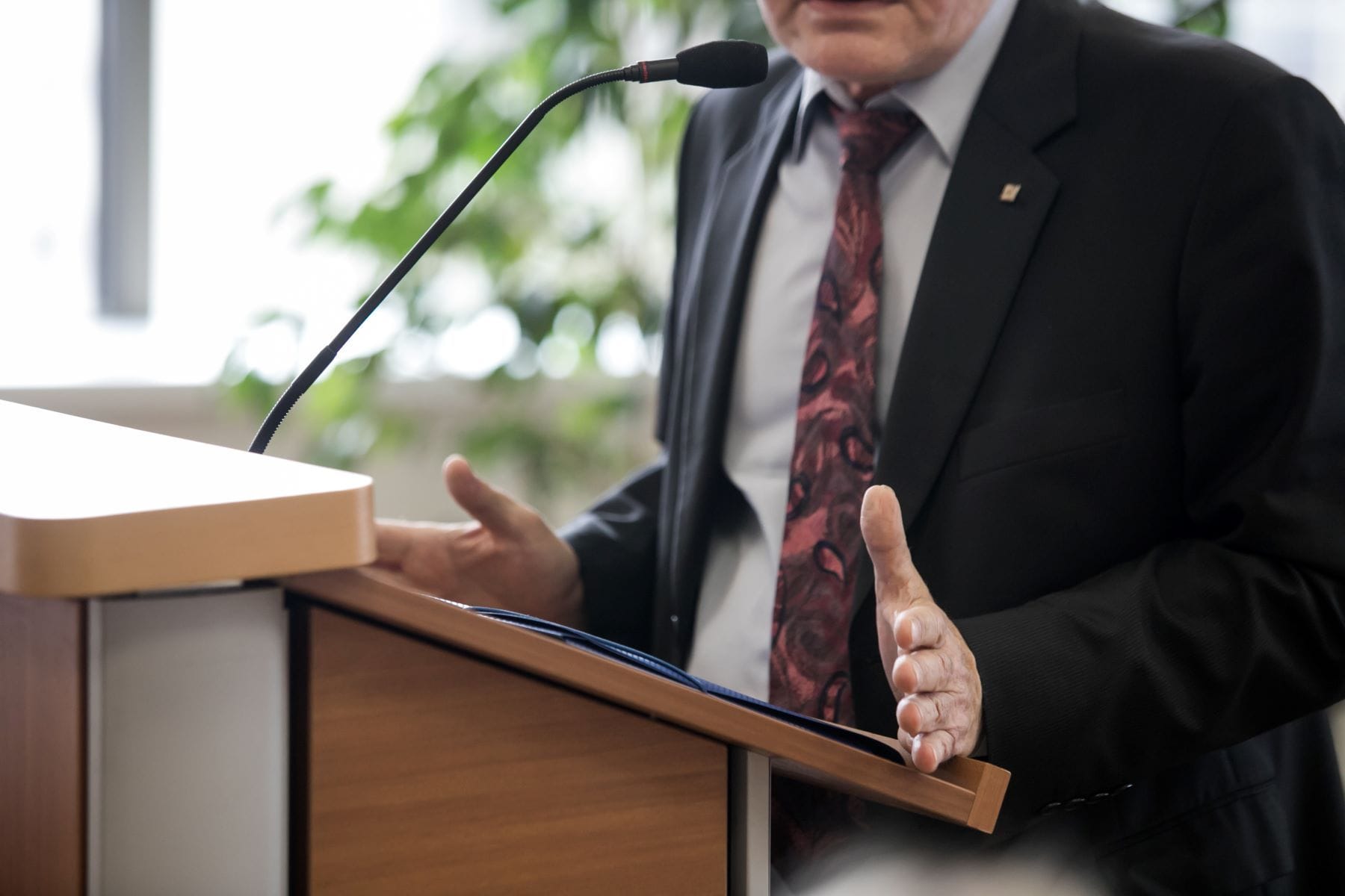 Expert Witness giving testimony in trial