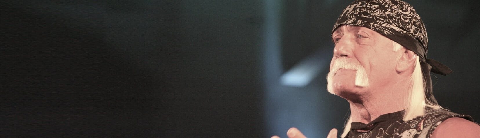 Hulk Hogan Gawker Lawsuit