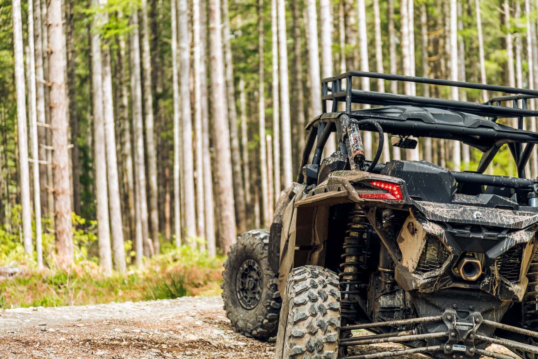 UTV in forest