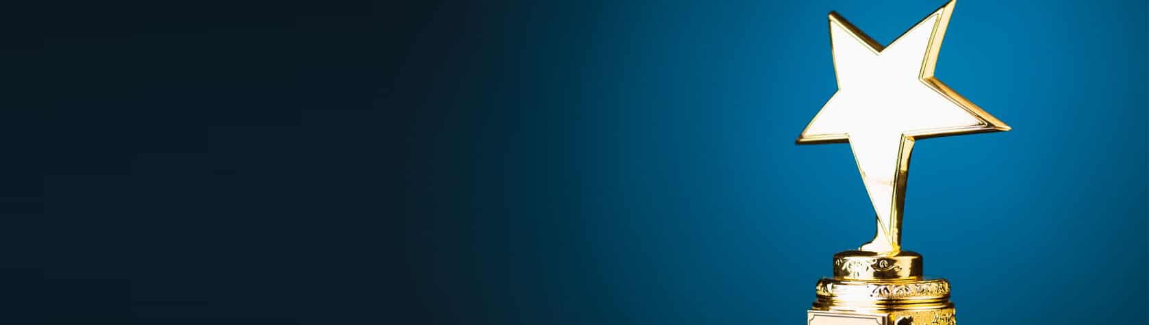 Best Expert Witness Service