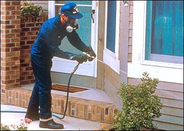 Toxicology Expert Witness Discusses Effects of Pesticides