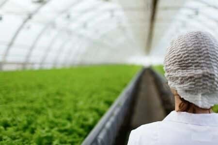 Precision Farming Technology Experts Opine On Intellectual Property Dispute