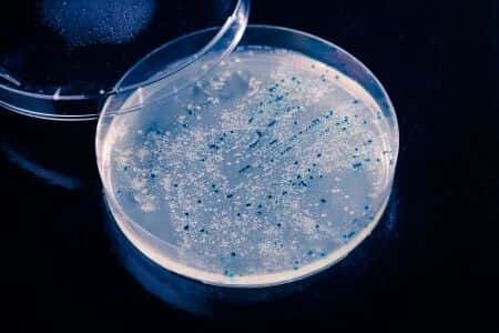 Leading Neurologist Opines on Nerve Damage From Toxic Mold Exposure