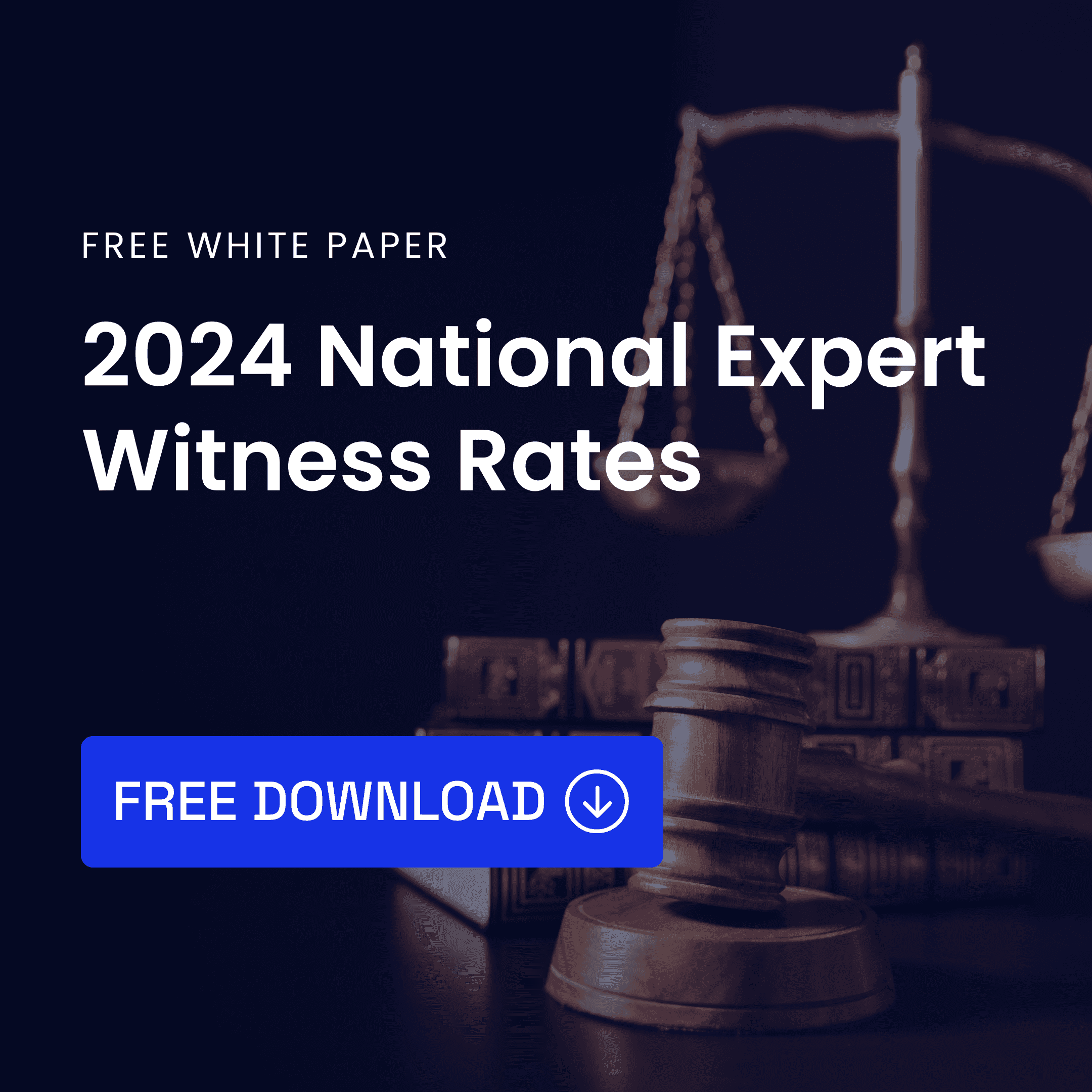 2024 National Expert Witness Rates
