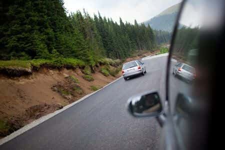 Trees with Possible Prior Fall Risk Cause Injury to Couple Driving in a Car