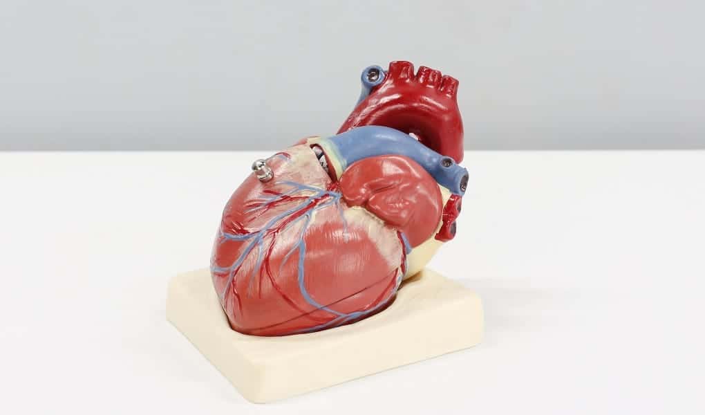 Defense Challenges Cardiology Expert’s Testimony on Chemotherapy Drug