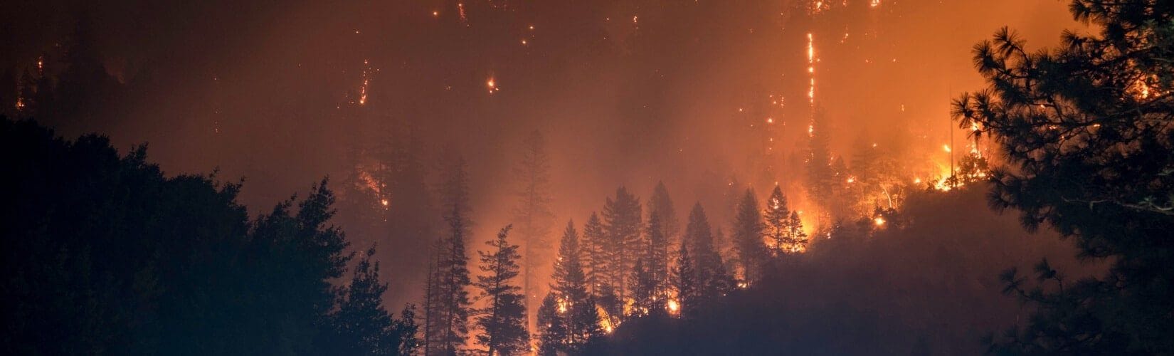 PG&E May Face Murder Charges After California Wildfires