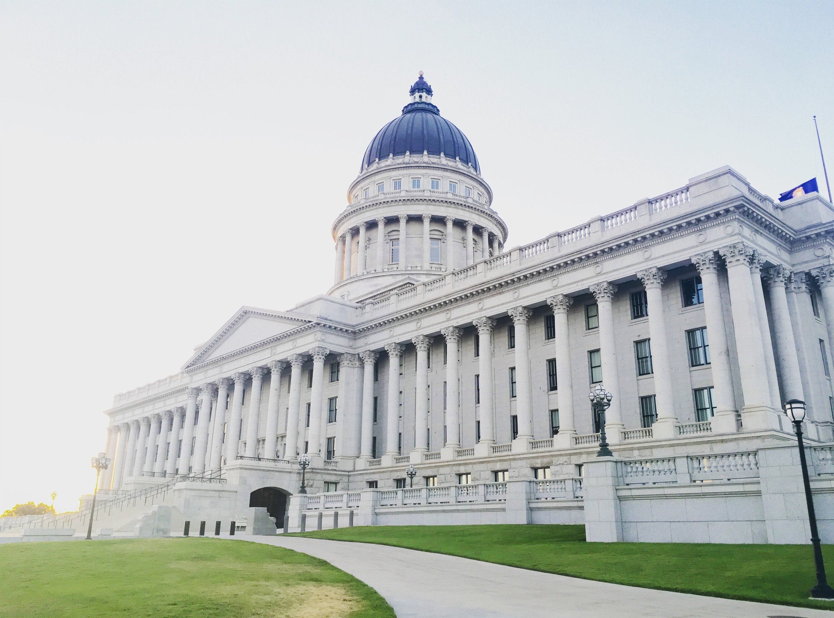 business immunity covid-19