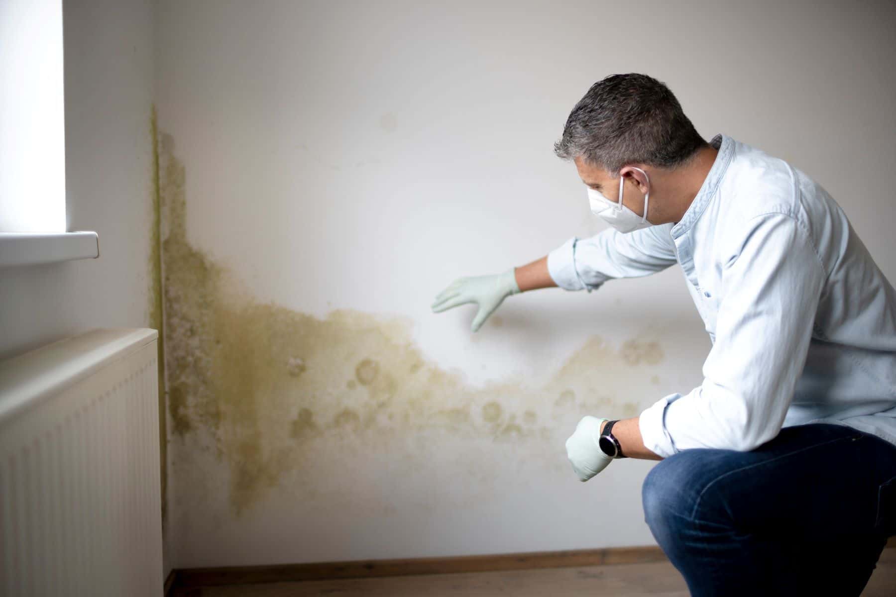 Apartment mold